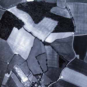 1949