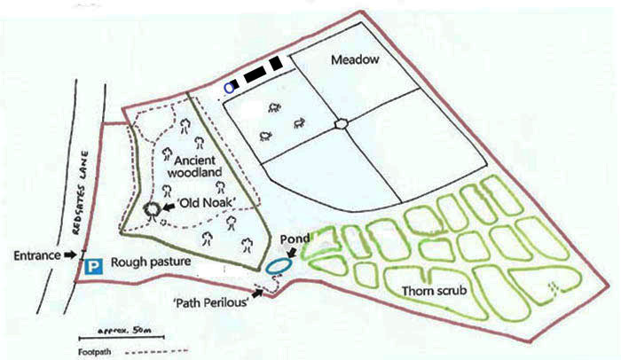 noakes map