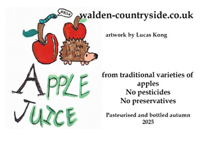Apple Juice