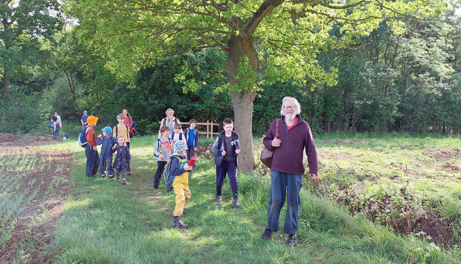 dinosaur walk
