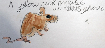 yelllow=-necked mlouse